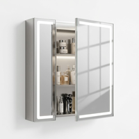 Armoire de salle de bain en acier inoxydable à deux portes avec éclairage LED ambiant inférieur, murale, pour la décoration murale de salle de bain d'appartement