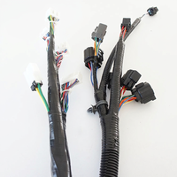 Produsen Perakitan Kabel Profesional China, Kabel Harness Sepeda Listrik