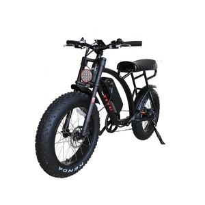<span class=keywords><strong>2021</strong></span> Meilleure vente 20 pouces gros vélo électrique 500w 48v 13ah pour adulte - Product Image 1