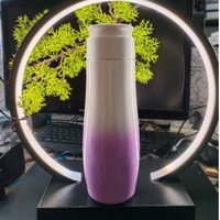 Bouteille d'eau intelligente en acier inoxydable OEM de 520ml avec rappel d'hydratation Tasse à boire intelligente personnalisée pour le bureau