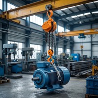 Ensemble de poulies à chaîne manuelle de 2 tonnes pour la construction et le levage