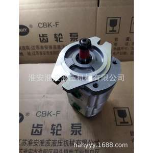 Bomba Hidráulica de Doble Engranaje Personalizada CBK1010/4 B4FR - Product Image 3