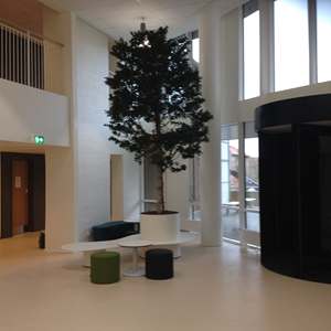 Macetas de Fibra de Vidrio Modernas y Minimalistas para Interiores y Exteriores, Ligeras, para Uso en el Hogar y el Jardín, Venta al por Mayor - Product Image 5