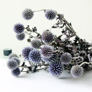 Flores decorativas coloridas al por mayor cardo de globo seco <span class=keywords><strong>Echinops</strong></span> secas flores de Eryngium azul preservadas para la decoración de la boda del hogar - Product Image 1