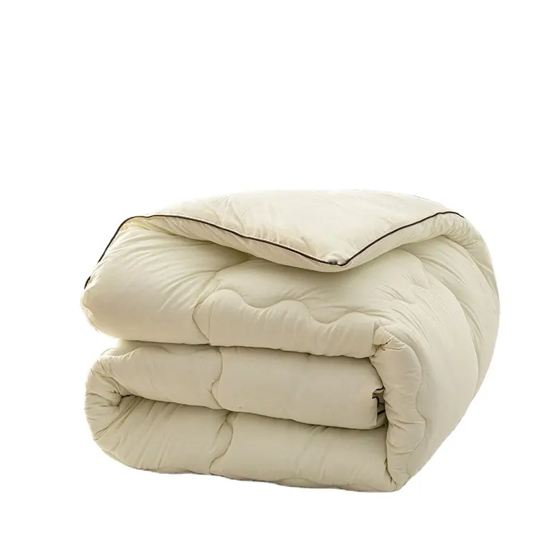 Warm Solid Color Brushed Down Duvet Amazon Hotsale Soft Custom Duvet Thickened Duvet for Winter