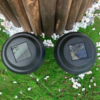 Éclairage blanc chaud Offres Spéciales actionné solaire de paysage de lumière de jardin de LED avec le corps imperméable IP65 certifié par ROHS