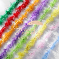 Boa en plumes de marabout de dinde teintes 20g 30g 45g, accessoire de costume de fête pour carnaval, spectacle de danse, écharpe en plumes de dinde