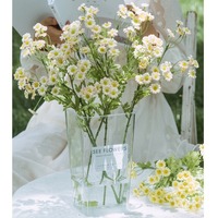 Fleurs artificielles de marguerites de camomille à 30 têtes, décoration fraîche pour la maison, chrysanthèmes pour arrangements de mariage rustiques et photographie
