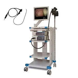 Endoscopio de Hospital Clínico, Endoscopia Gastrointestinal, cámara flexible, GASTROSCOPIO endoscópico y colonoscopio