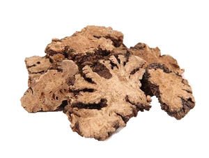 Hızlı teslimat <span class=keywords><strong>ligusticum</strong></span> chuanxionghort özü organik <span class=keywords><strong>ligusticum</strong></span> <span class=keywords><strong>wallichii</strong></span> özü rhizoma chuanxiong özü - Product Image 2