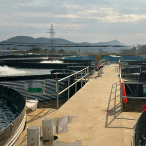 Système d'aquaculture <span class=keywords><strong>RAS</strong></span>, bassin à poissons circulaire, bassin à poissons en PVC galvanisé dans une ferme aquacole - Product Image 3