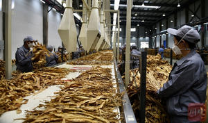 Cortadora Automática <span class=keywords><strong>de</strong></span> Hierbas, Trituradora <span class=keywords><strong>de</strong></span> Hojas <span class=keywords><strong>de</strong></span> <span class=keywords><strong>Tabaco</strong></span> Seco y Cáñamo, Máquina Cortadora y Picadora <span class=keywords><strong>de</strong></span> Hierbas y Limoncillo <span class=keywords><strong>de</strong></span> 0.1mm - Product Image 3