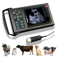 Échographe vétérinaire portable pour diagnostic abdominal porcin et ovine avec écran LED de 5,6 pouces et sonde mécanique de 3,5 m