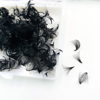 1000 Premade Fan C D CC DD Curl fait à la main coréen PBT Fiber Extensions de cils lâche Mega Volume 0.07mm-0.10mm ventilateur cheveux synthétiques