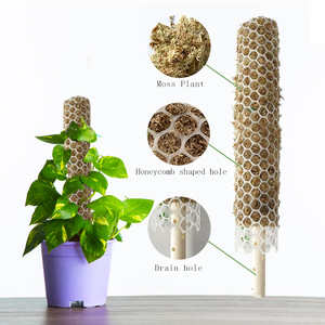 Poteau de mousse à forte rétention d'eau écologique pour plantes grimpantes pour pots de fleurs en mousse de sphaigne Monstera Philodendron - Product Image 3