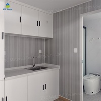 Mini-maison capsule modulaire en acier moderne de 20 pieds, type Apple House de Chine, pour usage commercial ou domestique (bureau ou habitation)