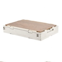 Boîte de rangement pliable pour voiture, camping et extérieur
