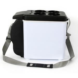 Car Mini Refrigerator 6L Dual-Purpose Cooler Portable 12V 24V Car Home Use Direct Cooling Plastic Body - Product Image 5