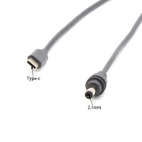Adaptateur mâle USB-C vers DC 5521 étanche pour allume-cigare de voiture, compatible Starlink Mini 2/3/5M, pour banque d'alimentation extérieure