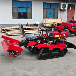 Il Più Vantaggioso Nuovo Micro Coltivatore Cingolato Multifunzione Diesel, Motozappa Rotativa per Piccole Auto Passeggeri, Pompa, Motore a Ingranaggi - Product Image 1