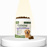 Granulés à mâcher pour chiens OEM ODM avec racine de valériane et L-théanine pour améliorer l'immunité, naturels, 90 pièces/pot