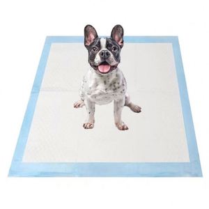 Almohadillas de Entrenamiento para Perros, Desechables, Estilo Moderno, Fabricadas en China - Product Image 1
