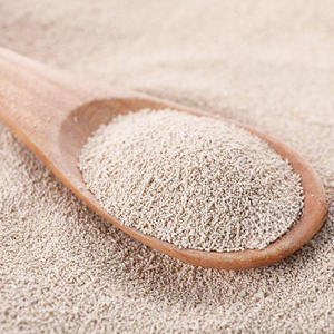 125g Envasado al vacío Hinchazón <span class=keywords><strong>Polvo</strong></span> <span class=keywords><strong>de</strong></span> levadura seco instantáneo para <span class=keywords><strong>hornear</strong></span> masa <span class=keywords><strong>de</strong></span> <span class=keywords><strong>pan</strong></span> - Product Image 2