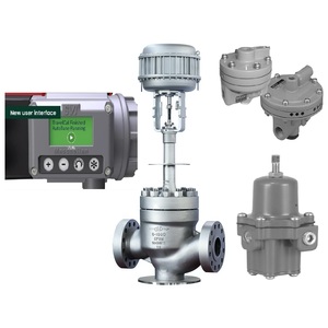 ตัวเพิ่มแรงดัน Masoneilan SVI3-21111212 BR400 รุ่น 67CFR พร้อมตัวกรองและตัวควบคุมการไหล - Product Image 6