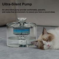Fontaine à eau pour animaux de compagnie en plastique transparent avec circulation d'eau USB, filtre inclus, OEM ODM