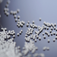 High Quality White Sugar Pellet Excipient 710-850μm Flavoring Agents Available for Wholesale