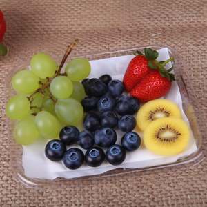 Almohadillas Absorbentes para Empacar Carne, Alimentos y Frutas - Product Image 1