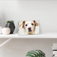 Bingkai Foto Akrilik Ganda 2 Sisi Transparan Magnetik Ukuran 4x6 Inch untuk Meja (Grosir)
