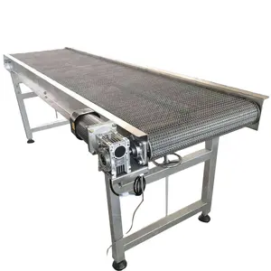 Wire Mesh Chain Link Plate Conveyor Belt Stainless Steel Metal New Product 2020 Wooden Boxes Customized Provided 1 Set 300 380V