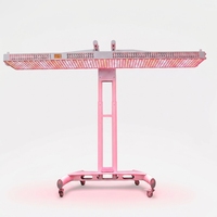 Machine de photothérapie LED personnalisable, panneau de thérapie par lumière rouge 960W, thérapie par lumière infrarouge professionnelle avec support