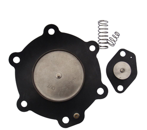 Kit de Repuestos Originales NUMATICS C123432 C113827 para Solenoide - Product Image 1