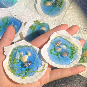 Juguete Creativo de Concha Marina para Apretar, de Plástico TPR Kawaii, Regalo para Niños y Niñas - Product Image 3