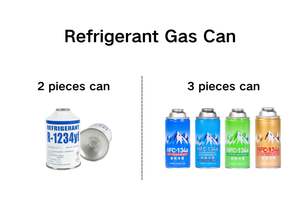 <span class=keywords><strong>R134a</strong></span> soğutucu gaz kimyasal kullanım için OEM boş 2 parça Aerosol teneke kutular - Product Image 4