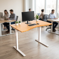 Table de bureau électrique réglable en bambou de bonne qualité, bureau debout, plateau de bureau relevable Ecomax