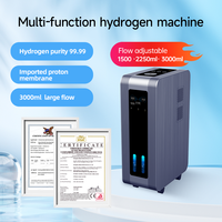 Générateur d'hydrogène professionnel 3000 ml/min, inhalateur d'hydrogène portable en acier inoxydable, machine d'inhalation d'hydrogène PEM SPE