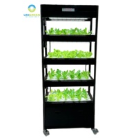 Système hydroponique DWC, armoire verticale, kit d'eau profonde, kit de plantation modulaire personnalisé et mobile pour la laitue, le bureau et la serre