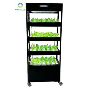 Sistema hidropónico DWC, gabinete Vertical, Kit <span class=keywords><strong>de</strong></span> agua profunda, Kit <span class=keywords><strong>de</strong></span> plantación móvil Modular personalizado para oficina <span class=keywords><strong>de</strong></span> lechuga e invernadero - Product Image 5