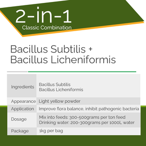Probiótico Sinérgico en Polvo Soluble en Agua, Bacillus Subtilis y Bacillus Licheniformis, para la Regulación de la Flora Intestinal de Aves de Corral - Product Image 2