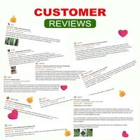 Tapis d'herbe artificielle écologique de qualité supérieure pour animaux de compagnie, haute perméabilité, lavable, pour l'apprentissage de la propreté des chiens, utilisation intérieure et extérieure