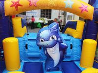 Structure Gonflable Commerciale Promotionnelle à Thème Océan, Volcan, Dinosaure, Anime, avec Toboggan Aquatique et Zones de Saut pour Location de Fêtes