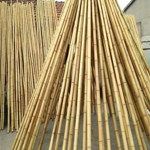 Yuzhu Carbonized Bamboo Poles White Insect Proof Anti Corrosion For Ceiling Outdoor Use - Product Image 3