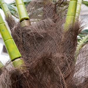 <span class=keywords><strong>Palmera</strong></span> de Coco Artificial Personalizable Songtao de 2.5m, Recta, de Fibra de Vidrio, Duradera, Anti-UV, Alta Simulación, Moderna, para Piscina y <span class=keywords><strong>Playa</strong></span> - Product Image 5