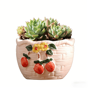 Macetas de Cerámica Esmaltada Pintadas a Mano para Suculentas - Ecológicas, Duraderas, Ligeras (2 kg), con Orificio de Drenaje, Diseño Moderno - Product Image 4