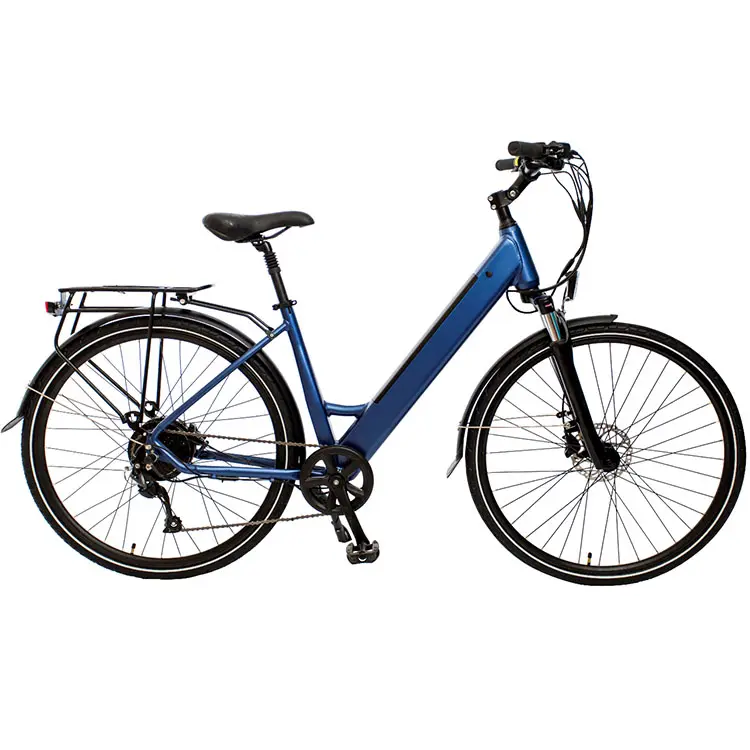Ebike de accionamiento medio, bicicleta eléctrica de Ciudad de litio de alta gama, personalizada, OEM, 2021 w, vintage, en venta, 1000