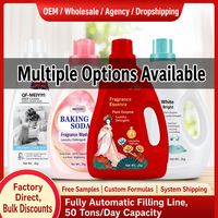 Lessive en poudre en gros directement de l'usine, OEM ODM, haute mousse, marque privée, parfum personnalisé
