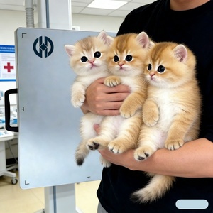 139μm Piksel Aralıklı Kablolu Dijital Düz <span class=keywords><strong>Panel</strong></span> Dedektör, Oftalmik Kliniklerde İnce Detaylı Görüntüleme İçin - Product Image 1